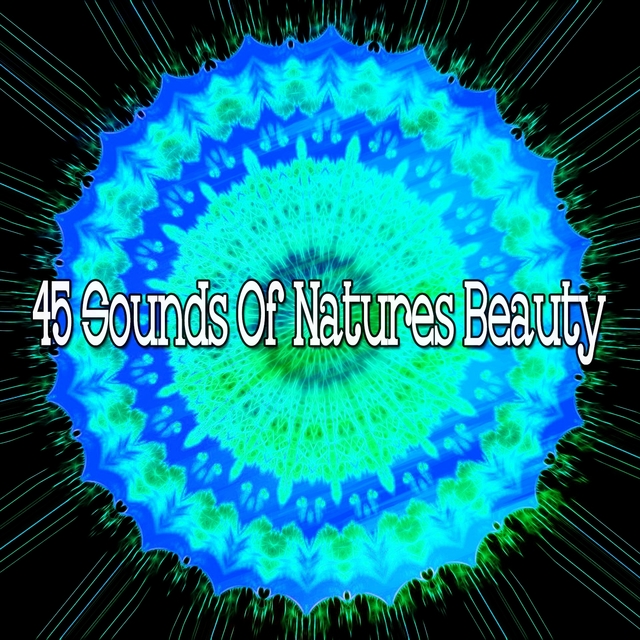 Couverture de 45 Sounds Of Natures Beauty