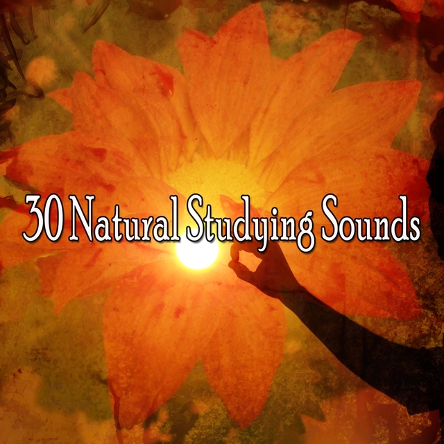 Couverture de 30 Natural Studying Sounds