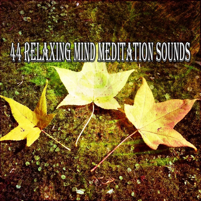 Couverture de 44 Relaxing Mind Meditation Sounds