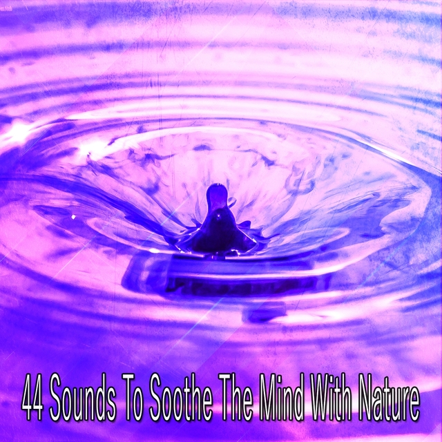 44 Sounds To Soothe The Mind With Nature