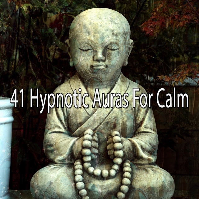 Couverture de 41 Hypnotic Auras For Calm