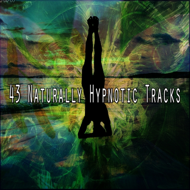 Couverture de 43 Naturally Hypnotic Tracks