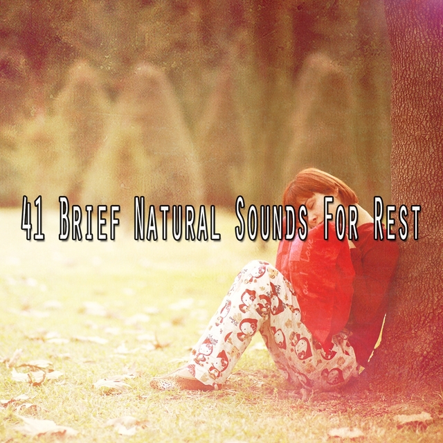 Couverture de 41 Brief Natural Sounds For Rest