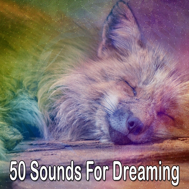 Couverture de 50 Sounds For Dreaming