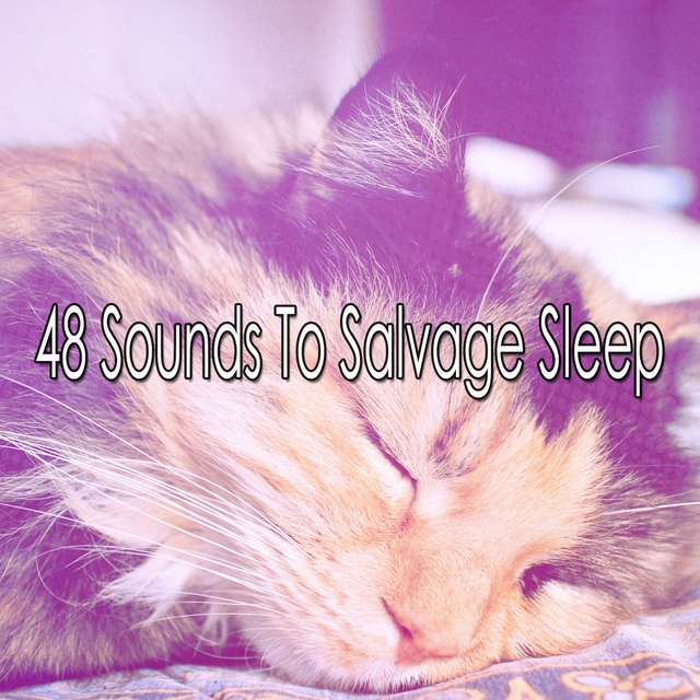 Couverture de 48 Sounds To Salvage Sleep