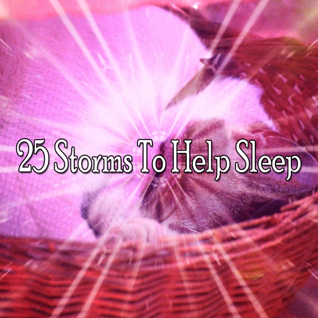 Couverture de 25 Storms To Help Sleep