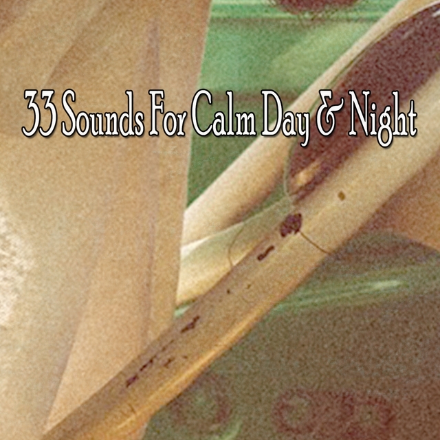 Couverture de 33 Sounds For Calm Day & Night