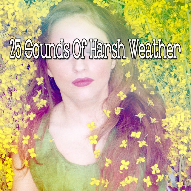 Couverture de 25 Sounds Of Harsh Weather