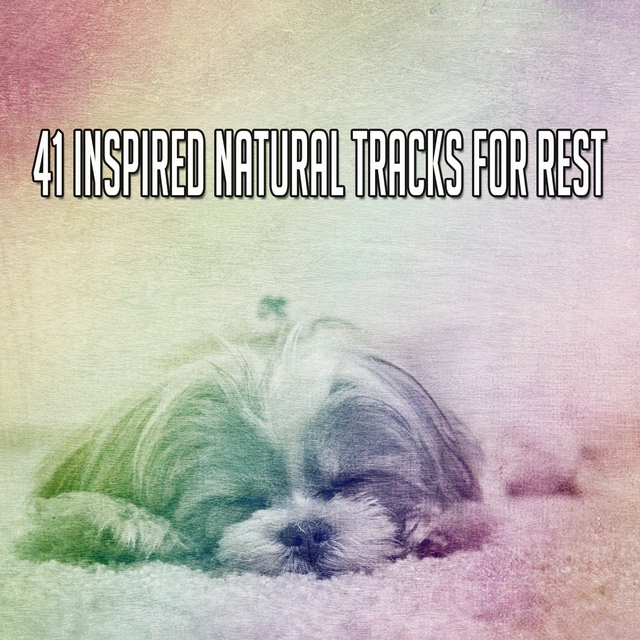 Couverture de 41 Inspired Natural Tracks For Rest