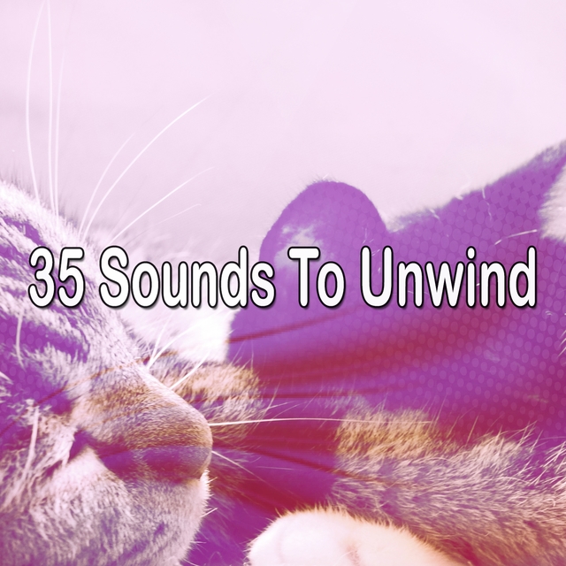 Couverture de 35 Sounds To Unwind