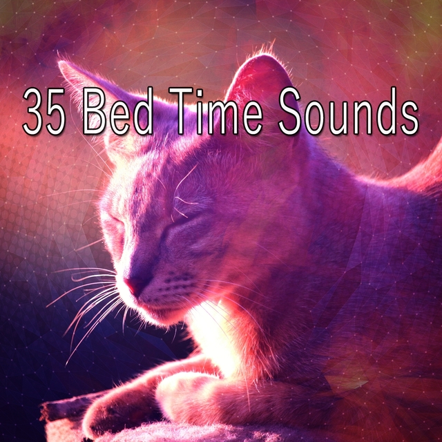 Couverture de 35 Bed Time Sounds