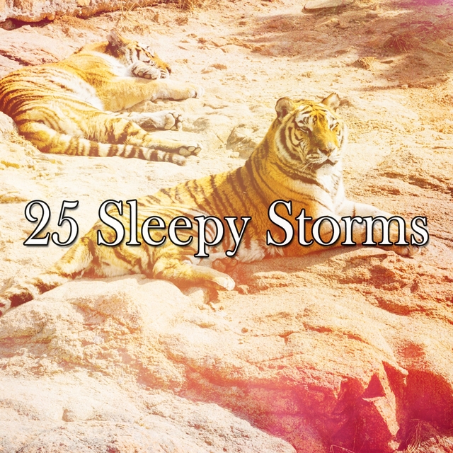 25 Sleepy Storms