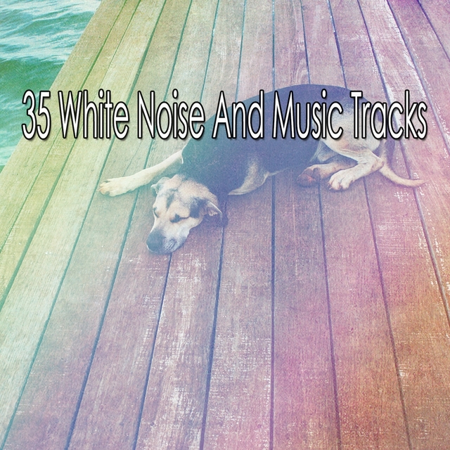 Couverture de 35 White Noise And Music Tracks