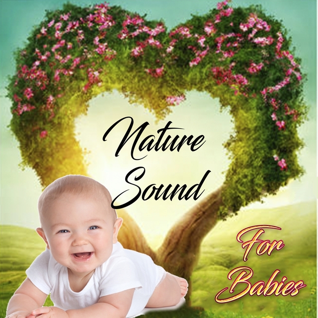 Couverture de Nature Sounds for Babies