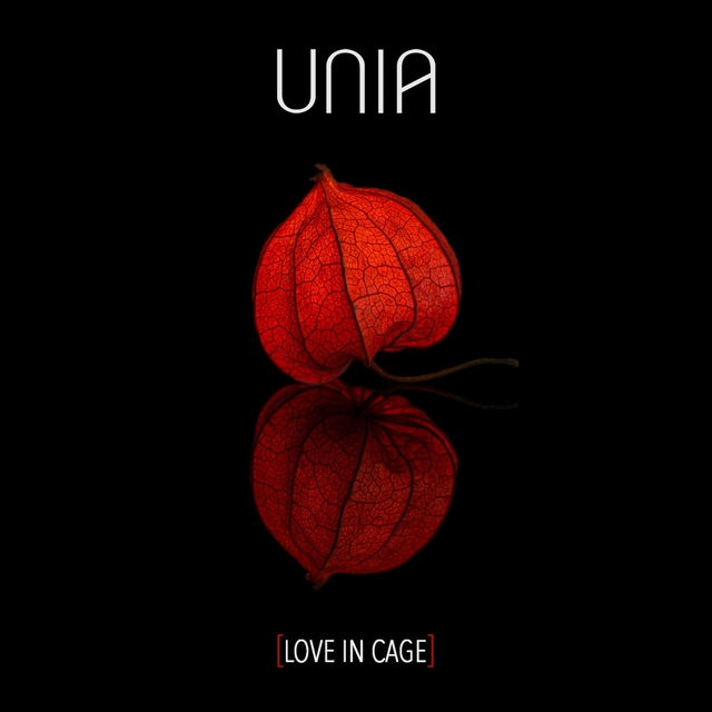 Couverture de Love in Cage