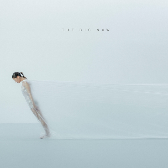 Couverture de The Big Now