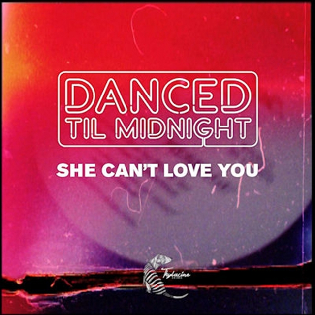 Couverture de She Can't Love You