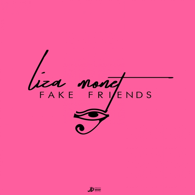 Couverture de Fake Friends