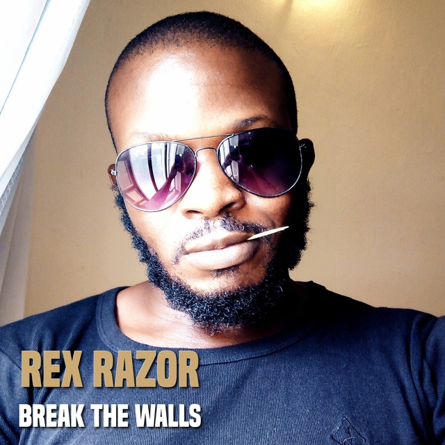 Couverture de Break the Walls