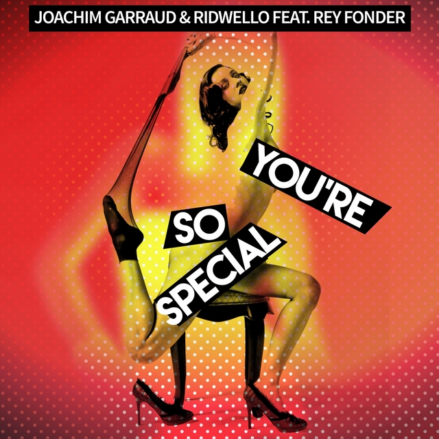 Couverture de You're so Special