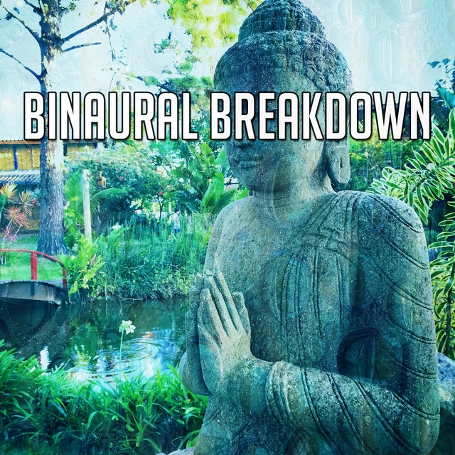 Binaural Breakdown