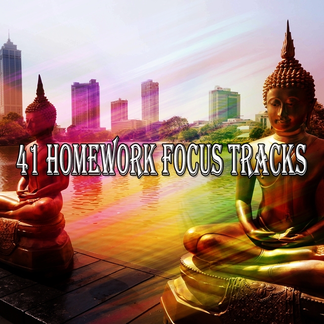 Couverture de 41 Homework Focus Tracks