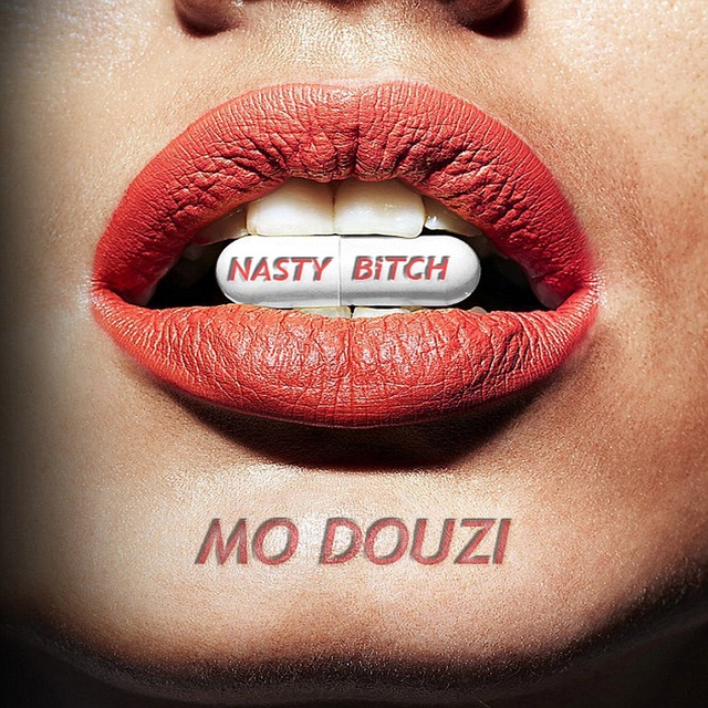 Couverture de Nasty Bitch