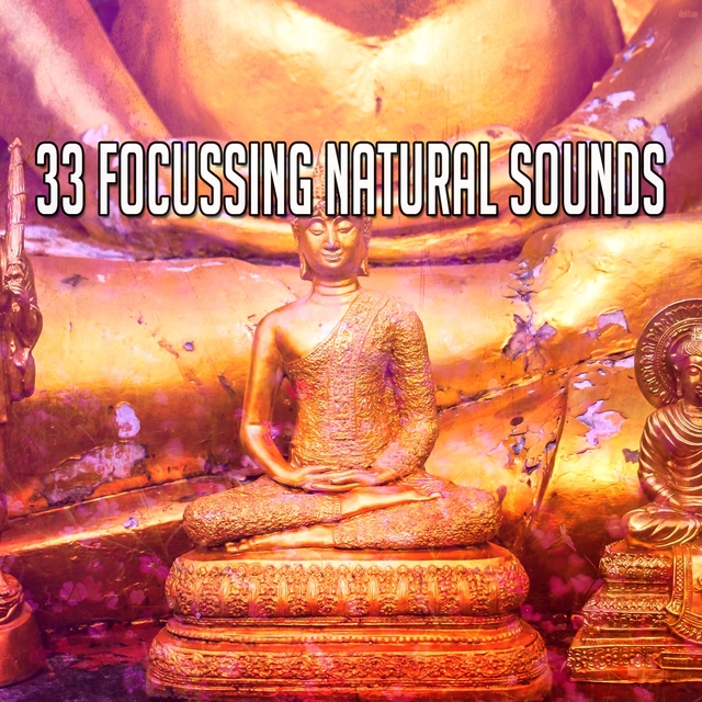 Couverture de 33 Focussing Natural Sounds