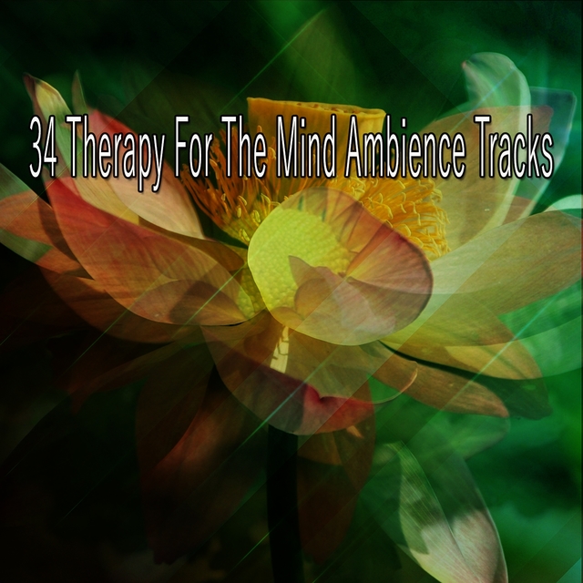 34 Therapy For The Mind Ambience Tracks