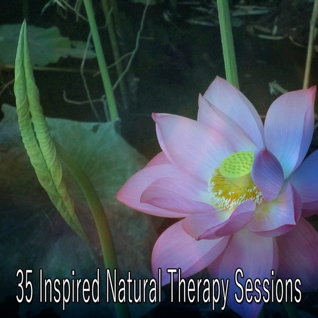 35 Inspired Natural Therapy Sessions