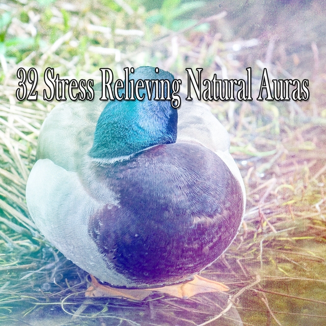 32 Stress Relieving Natural Auras