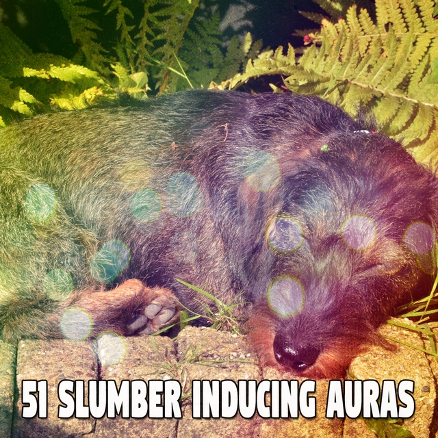 Couverture de 51 Slumber Inducing Auras