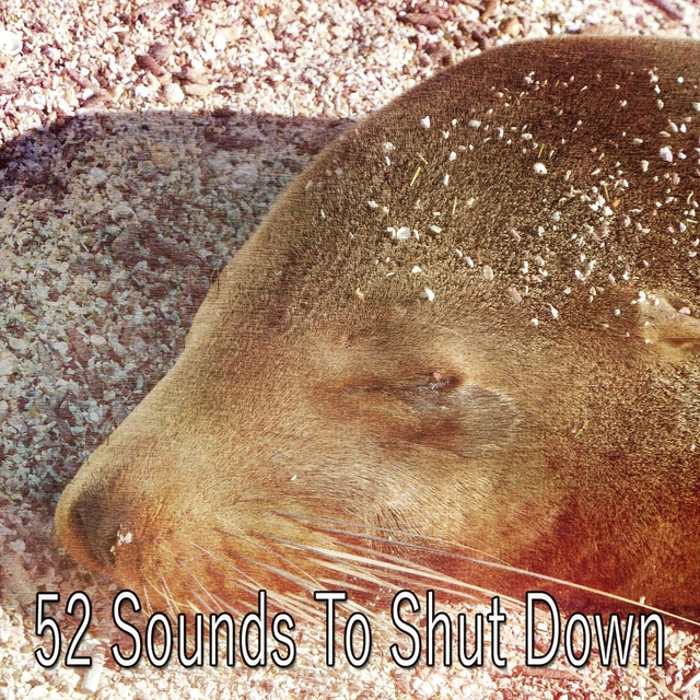 Couverture de 52 Sounds To Shut Down