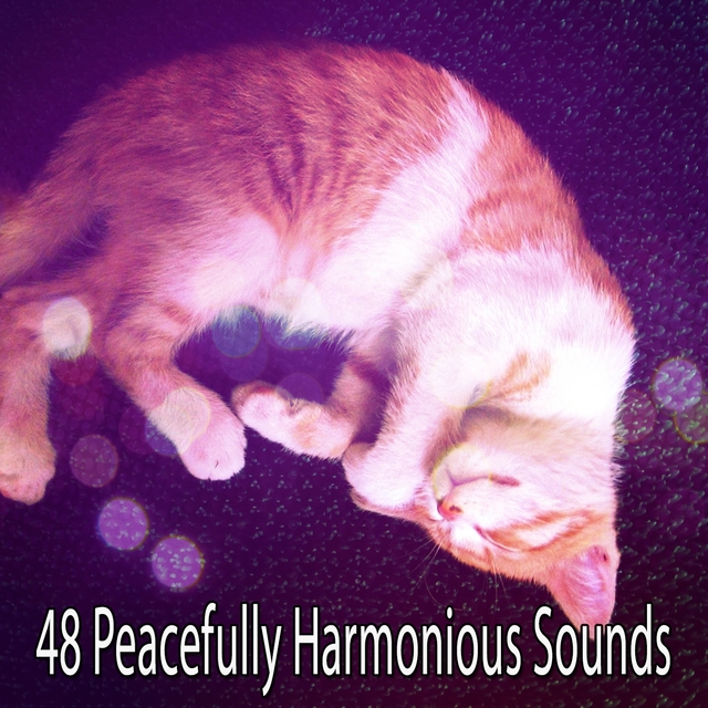 Couverture de 48 Peacefully Harmonious Sounds