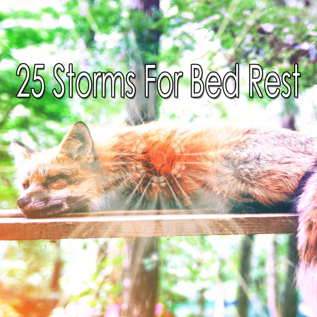 25 Storms For Bed Rest