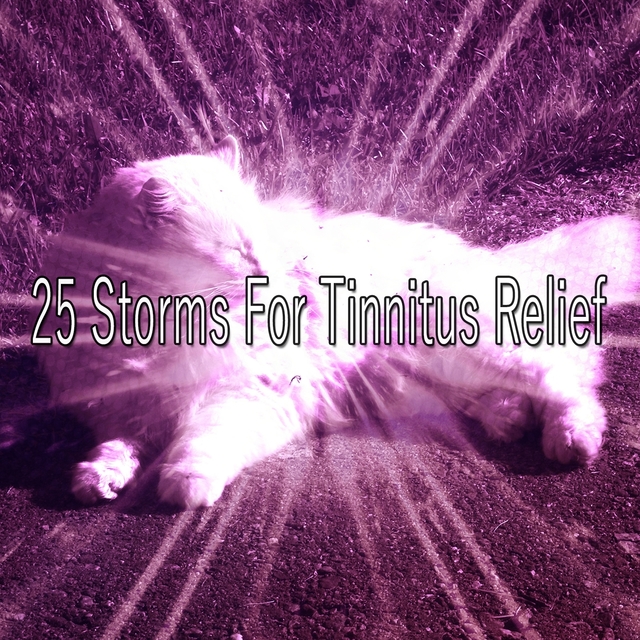 Couverture de 25 Storms For Tinnitus Relief