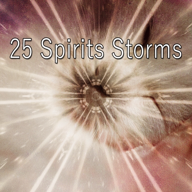 Couverture de 25 Spirits Storms