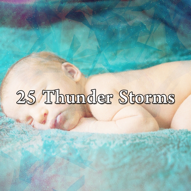 Couverture de 25 Thunder Storms