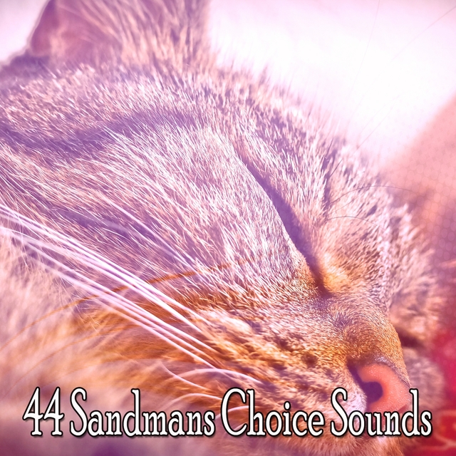 Couverture de 44 Sandmans Choice Sounds