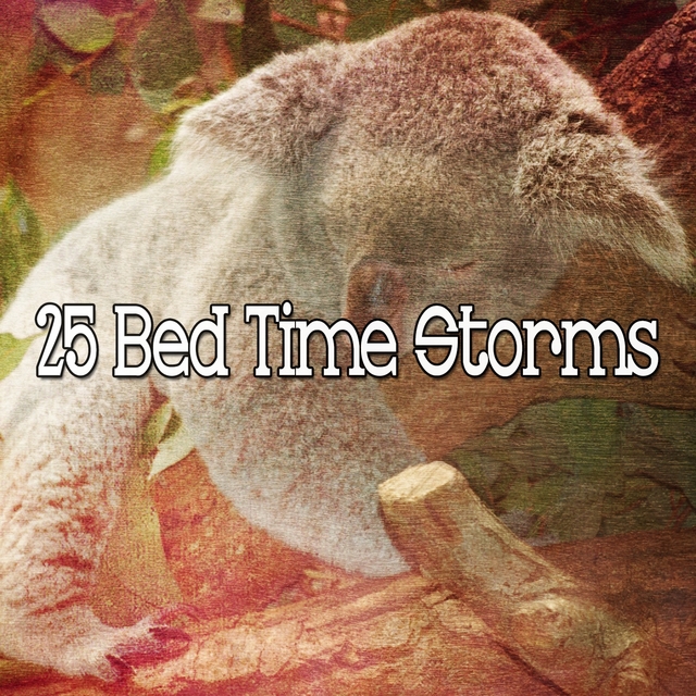 Couverture de 25 Bed Time Storms