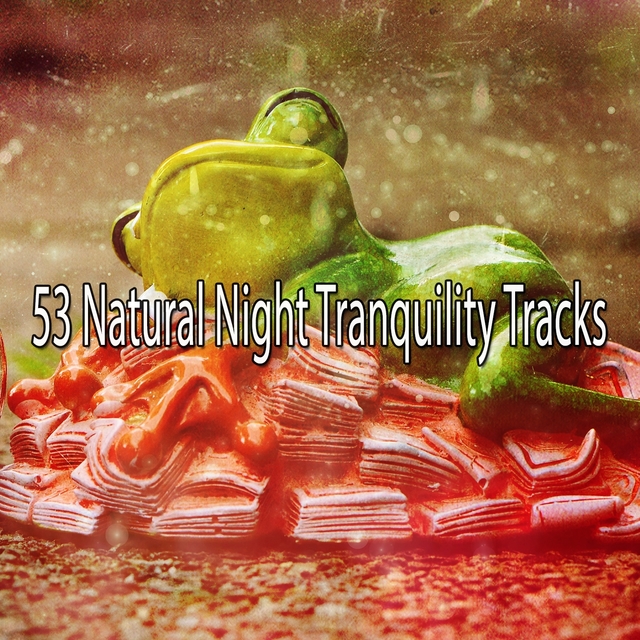 Couverture de 53 Natural Night Tranquility Tracks