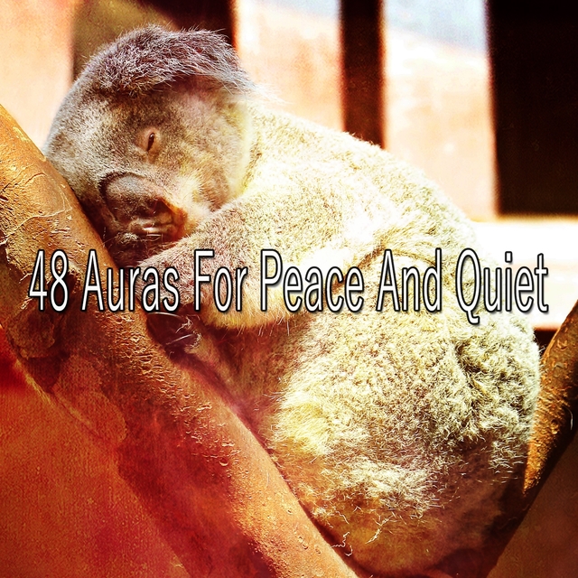 Couverture de 48 Auras For Peace And Quiet