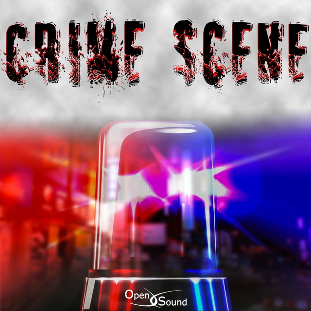 Couverture de Crime Scene