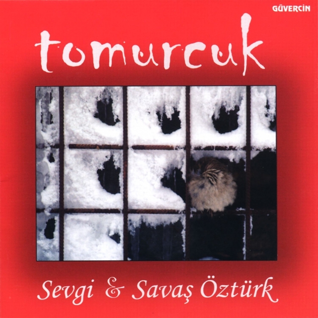 Couverture de Tomurcuk