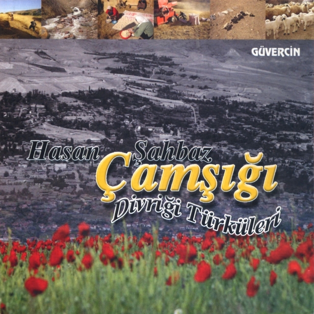 Couverture de Çamşığı Divriği Türküleri