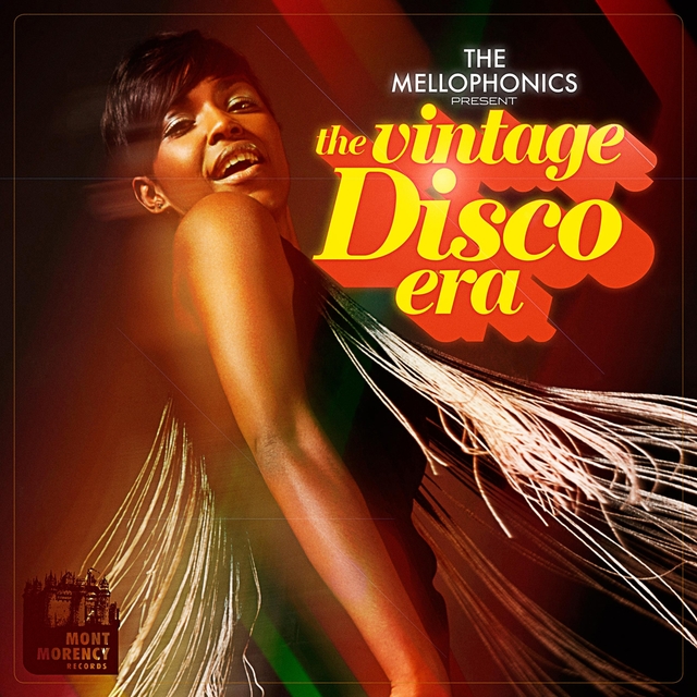 The Vintage Disco Era