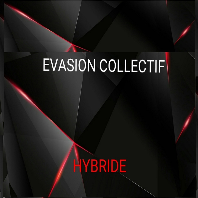 Couverture de Hybride