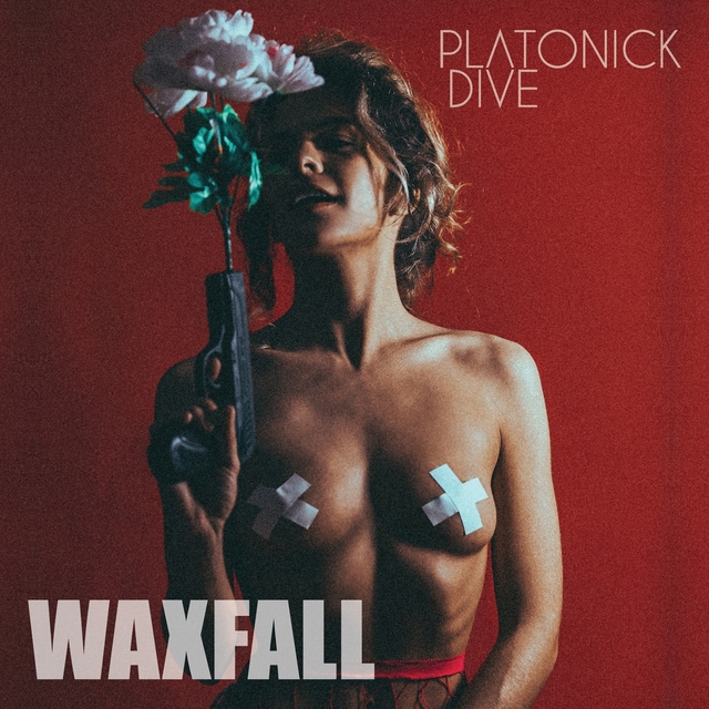 Couverture de Waxfall