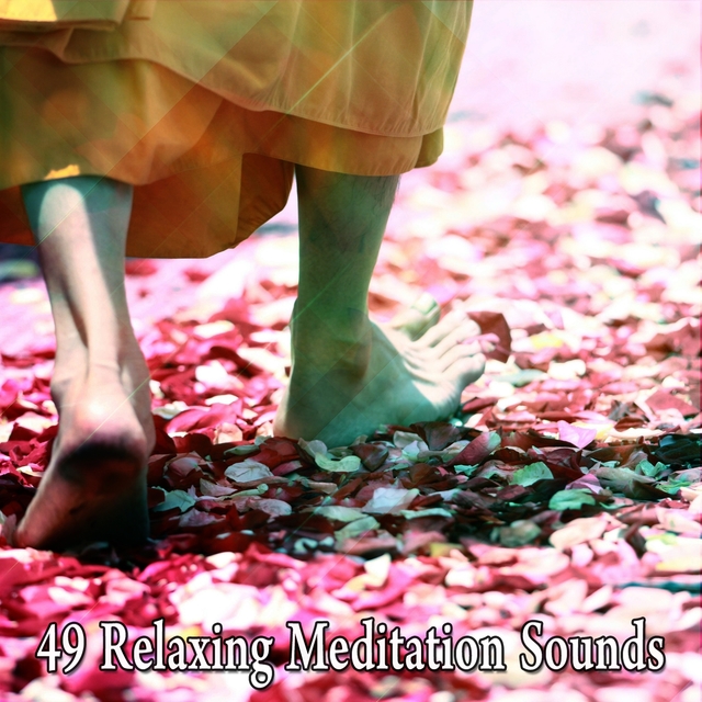 Couverture de 49 Relaxing Meditation Sounds