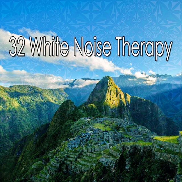 32 White Noise Therapy